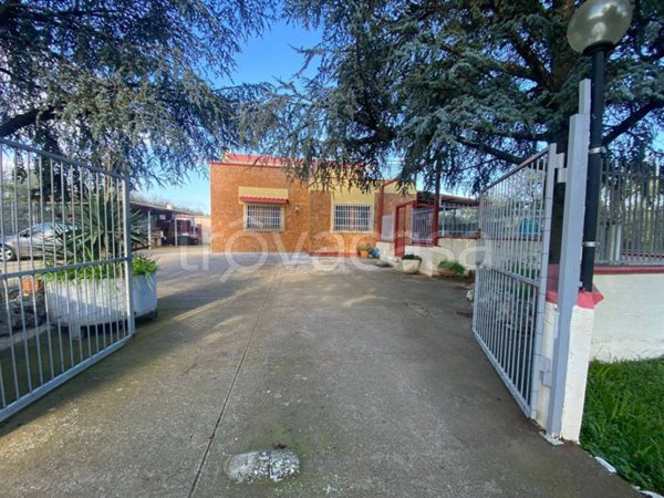 casa indipendente in vendita a Corato