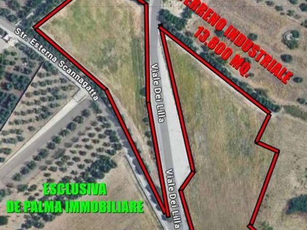 terreno agricolo in vendita a Corato