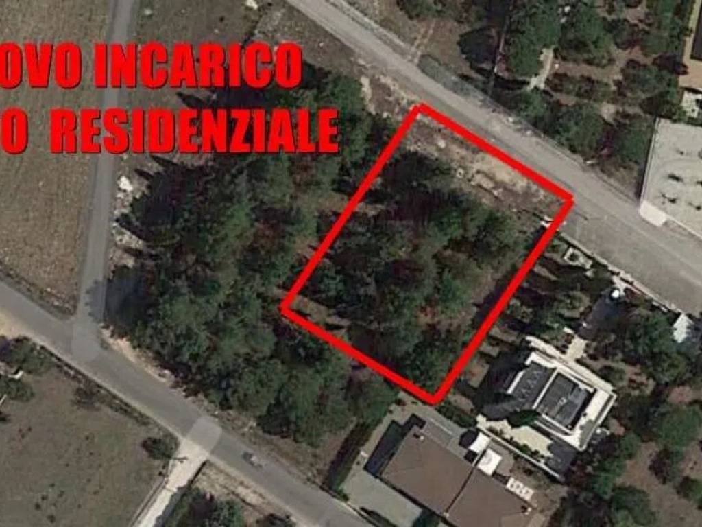 terreno agricolo in vendita a Corato