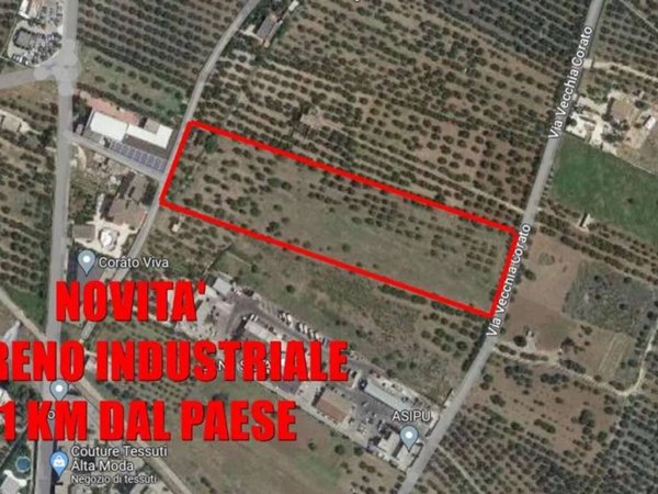 terreno agricolo in vendita a Corato