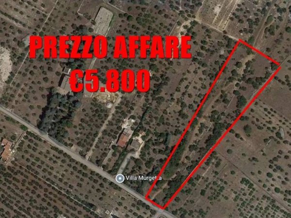 terreno agricolo in vendita a Corato in zona Murgetta