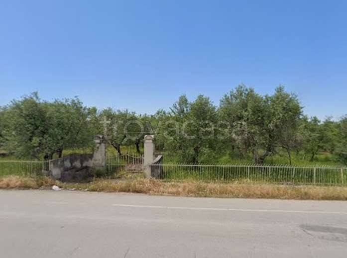 casa indipendente in vendita a Corato