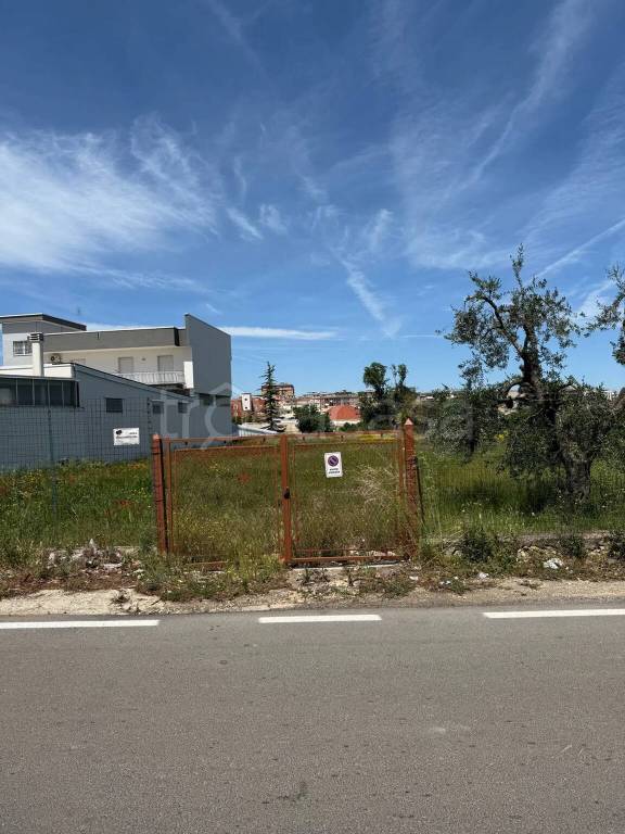 terreno agricolo in vendita a Corato