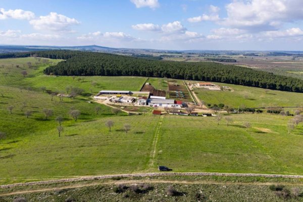 azienda agricola in vendita a Corato