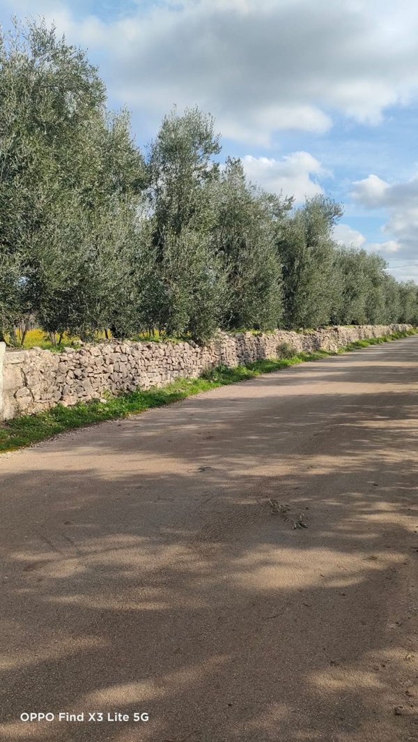 terreno agricolo in vendita a Corato
