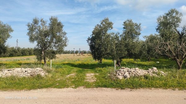 terreno agricolo in vendita a Corato