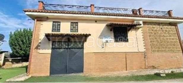 casa indipendente in vendita a Corato