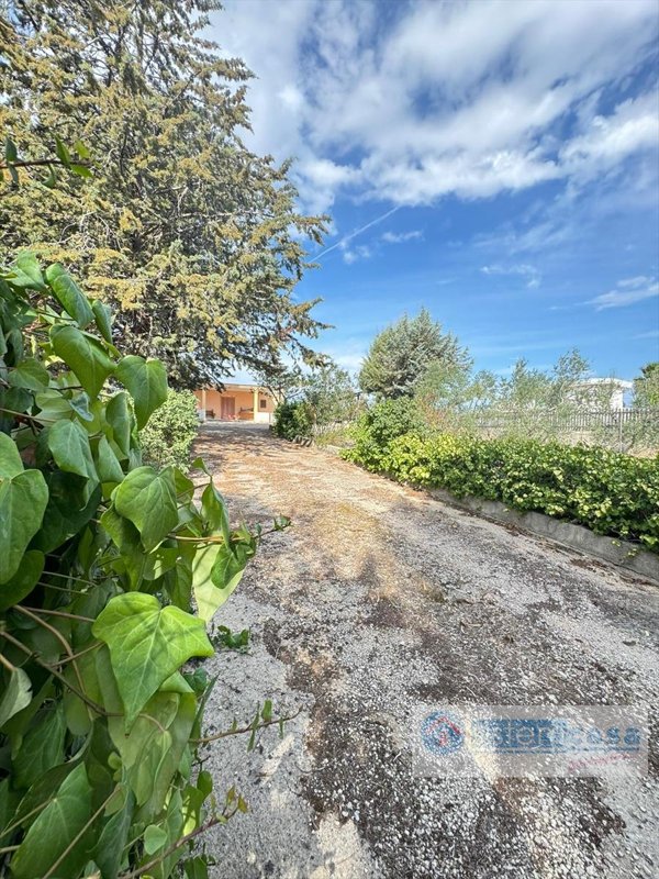 casa indipendente in vendita a Corato in zona Centro Storico