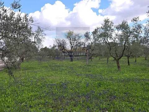 casa indipendente in vendita a Corato