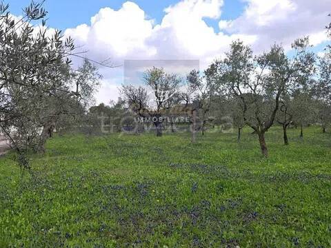casa indipendente in vendita a Corato