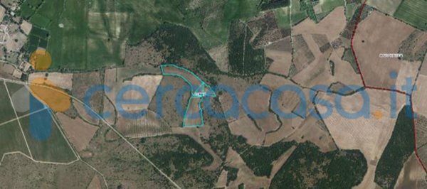 terreno agricolo in vendita a Corato