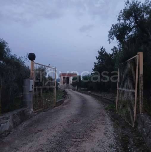 appartamento in vendita a Corato