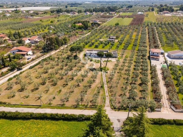 casa indipendente in vendita a Corato