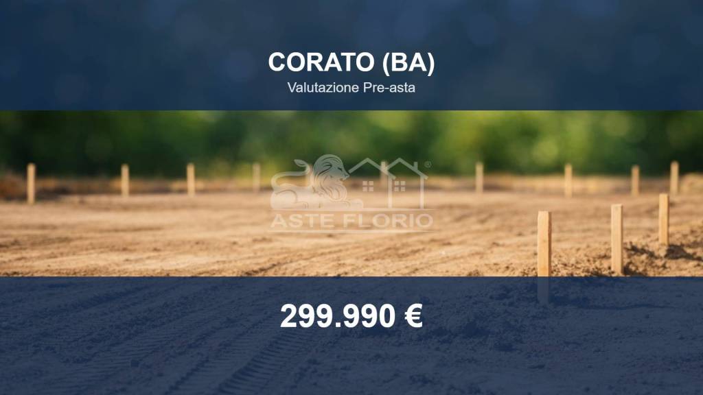 terreno agricolo in vendita a Corato