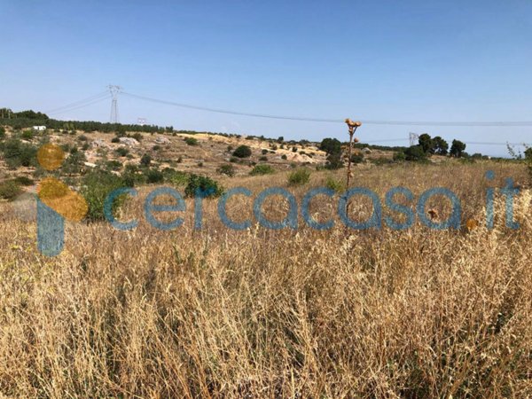 terreno agricolo in vendita a Corato