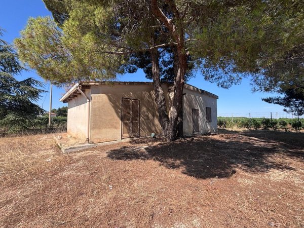 casa indipendente in vendita a Corato in zona Murgetta
