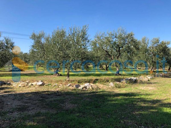 casa indipendente in vendita a Corato in zona Murgetta