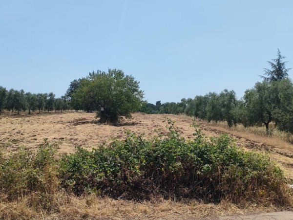 casa indipendente in vendita a Corato in zona Murgetta