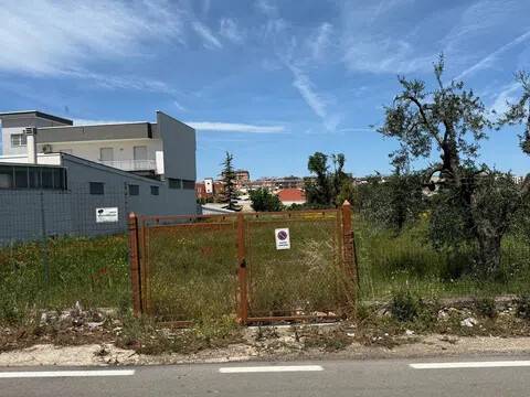 terreno agricolo in vendita a Corato
