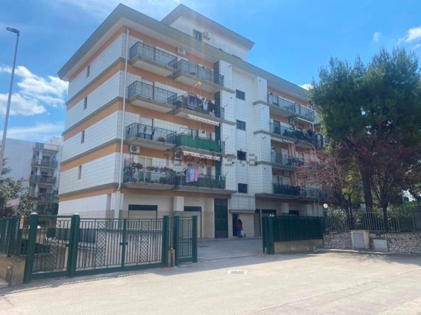 box auto in vendita a Corato