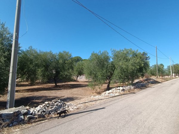 trullo in vendita a Corato in zona Murgetta