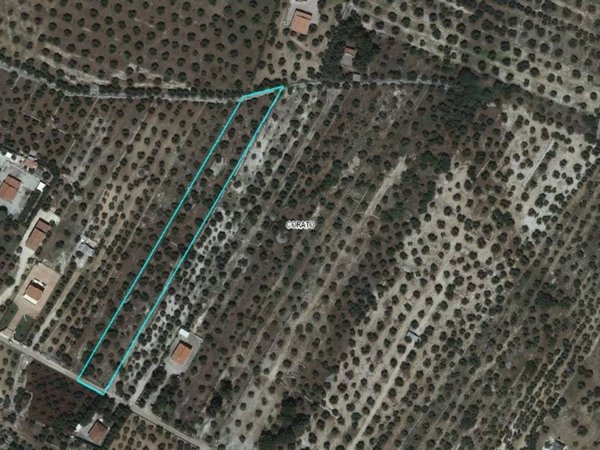 terreno agricolo in vendita a Corato in zona Murgetta