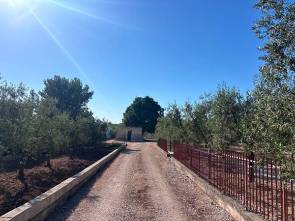 terreno agricolo in vendita a Corato
