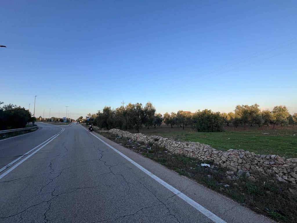 terreno agricolo in vendita a Corato