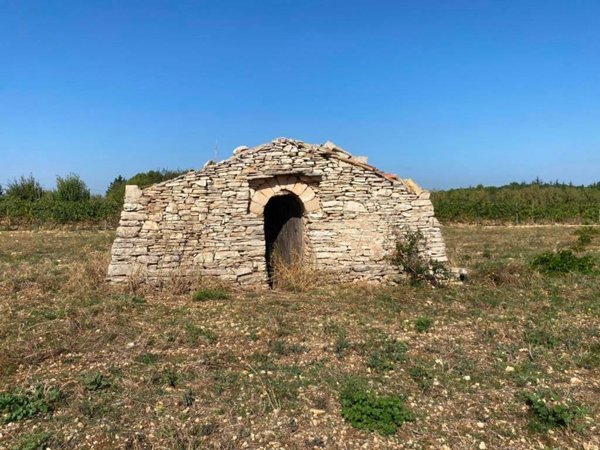 terreno agricolo in vendita a Corato in zona Murgetta