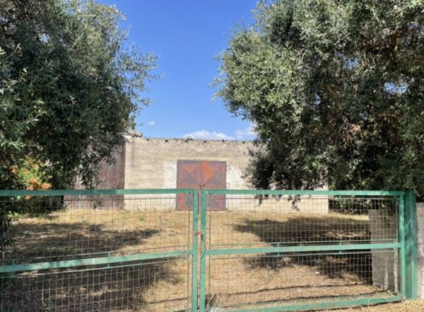 terreno agricolo in vendita a Gioia del Colle