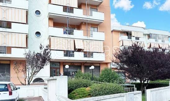 negozio in vendita a Gioia del Colle