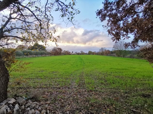 terreno agricolo in vendita a Gioia del Colle