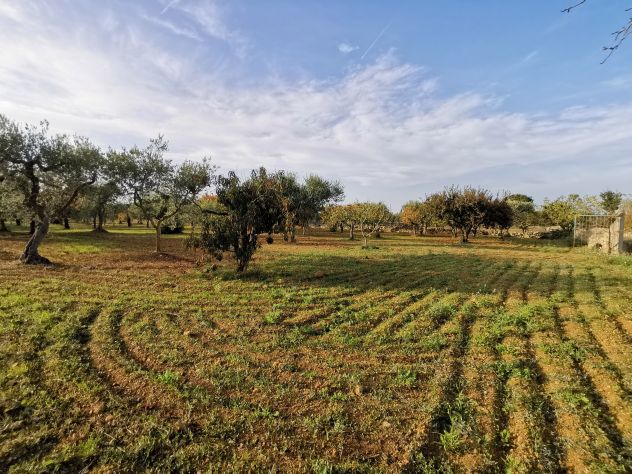 terreno agricolo in vendita a Gioia del Colle