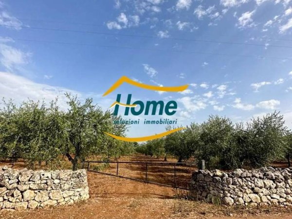terreno agricolo in vendita a Gioia del Colle
