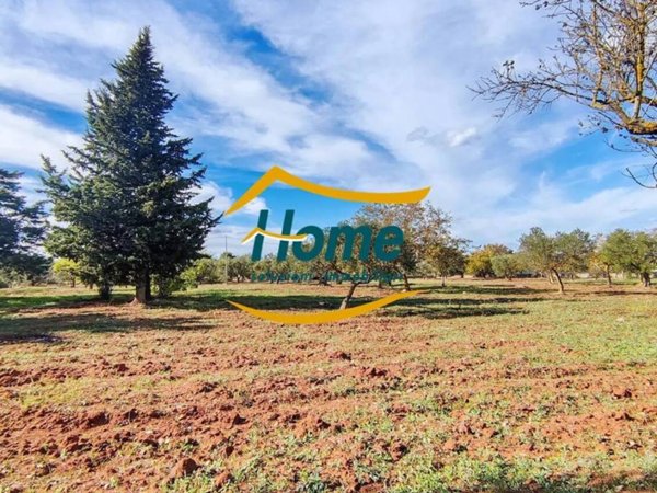 terreno agricolo in vendita a Gioia del Colle