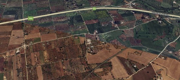 azienda agricola in vendita a Gioia del Colle