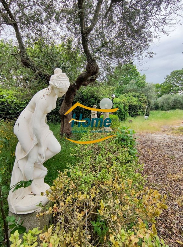 casa indipendente in vendita a Gioia del Colle