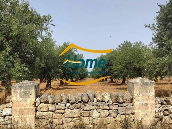 casa indipendente in vendita a Gioia del Colle