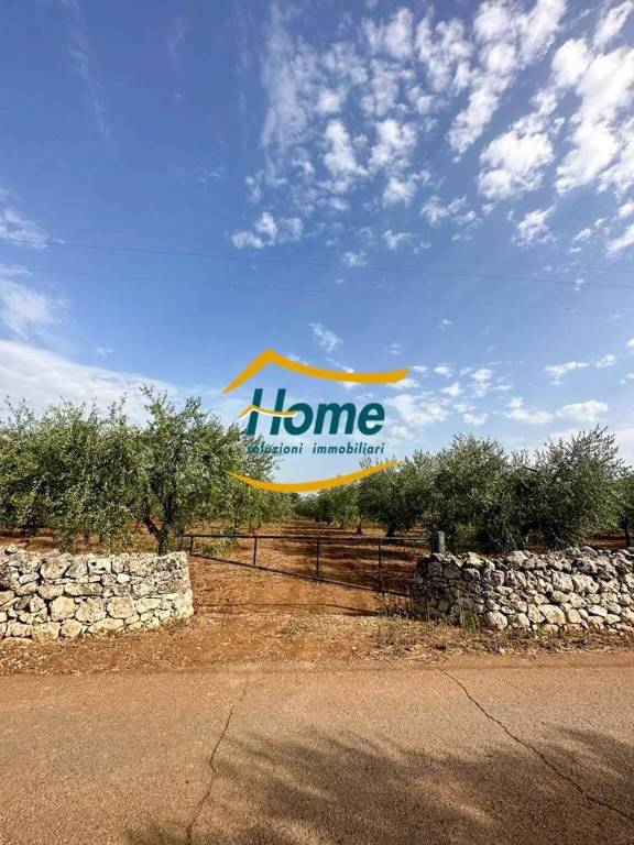 casa indipendente in vendita a Gioia del Colle