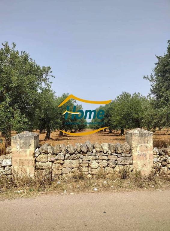 casa indipendente in vendita a Gioia del Colle