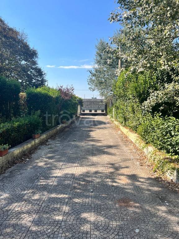 casa indipendente in vendita a Gioia del Colle