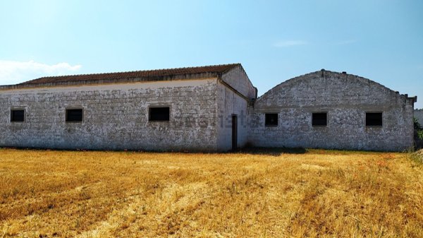 terreno agricolo in vendita a Gioia del Colle