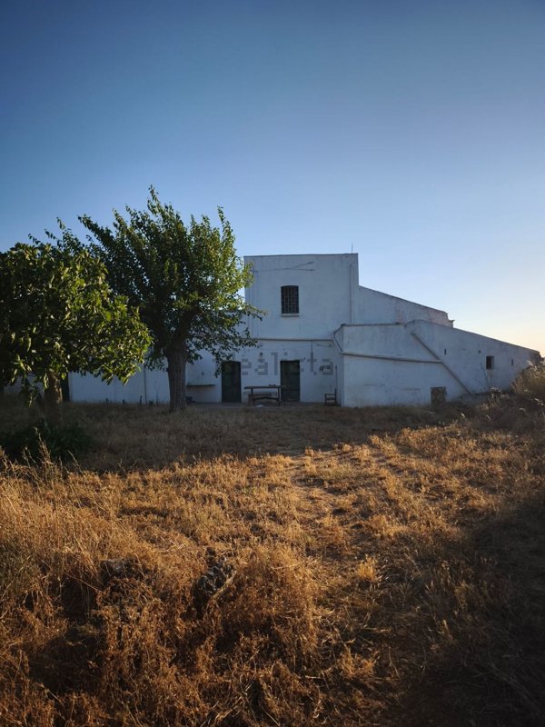 appartamento in vendita a Gioia del Colle in zona Montursi