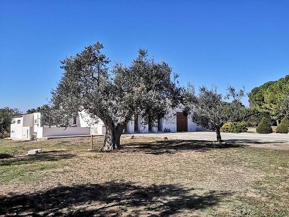 casa indipendente in vendita a Gioia del Colle