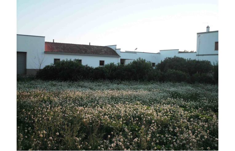 casa indipendente in vendita a Gioia del Colle