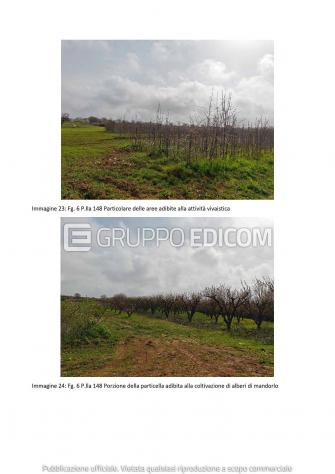 terreno agricolo in vendita a Gioia del Colle