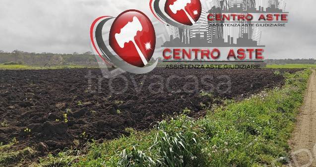 casa indipendente in vendita a Gioia del Colle