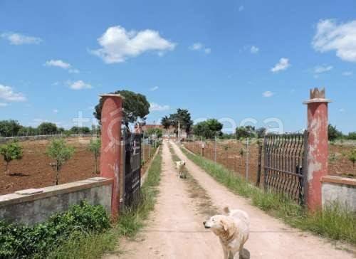casa indipendente in vendita a Gioia del Colle
