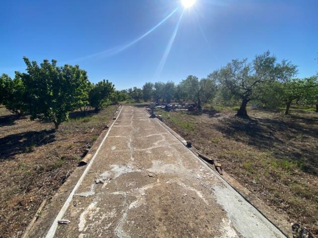 terreno agricolo in vendita a Gioia del Colle in zona Corvello