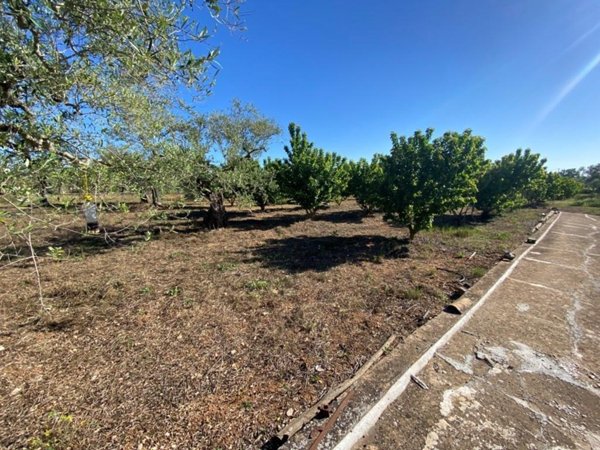 terreno agricolo in vendita a Gioia del Colle in zona Corvello